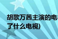 胡歌萬茜主演的電視劇有哪些(胡歌和萬茜演了什么電視)