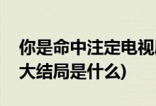 你是命中注定電視劇大結(jié)局(你是命中注定的大結(jié)局是什么)