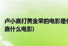 盧小嘉打黃金榮的電影是什么名字(鄭則仕拍的黃金榮打盧筱嘉什么電影)