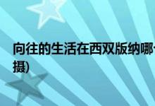 向往的生活在西雙版納哪個(gè)寨子(向往的生活4在什么地方拍攝)