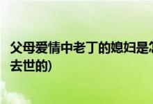 父母愛情中老丁的媳婦是怎么死的(父母愛情中老丁媳婦怎么去世的)