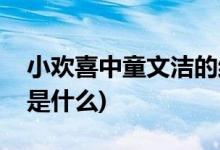 小歡喜中童文潔的結(jié)局(小歡喜中童文潔結(jié)局是什么)