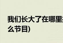 我們長大了在哪里播出(我們長大了是一檔什么節(jié)目)