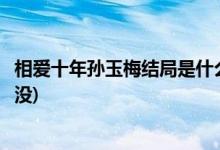 相愛十年孫玉梅結(jié)局是什么(相愛十年孫玉梅和陳啟明在一起沒)