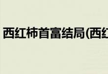 西紅柿首富結(jié)局(西紅柿首富結(jié)局講的是什么)