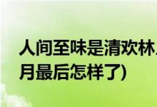 人間至味是清歡林月結(jié)局(人間至味是清歡林月最后怎樣了)