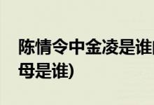 陳情令中金凌是誰的孩子(陳情令中金凌的父母是誰)