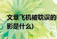 文章飛機被耽誤的電影(文章飛機被耽誤的電影是什么)