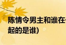 陳情令男主和誰在一起(陳情令中和男主在一起的是誰)