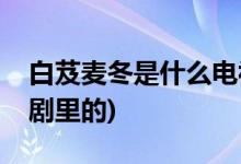 白芨麥冬是什么電視劇(白芨麥冬是什么電視劇里的)