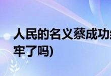 人民的名義蔡成功結(jié)局是什么(蔡成功最后坐牢了嗎)