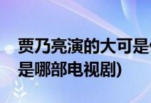 賈乃亮演的大可是什么電視劇(賈乃亮陳大可是哪部電視劇)