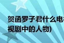 賀函羅子君什么電視劇(賀涵羅子君是哪部電視劇中的人物)