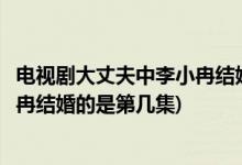 電視劇大丈夫中李小冉結(jié)婚的是哪一集(電視劇大丈夫中李小冉結(jié)婚的是第幾集)