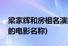 梁家輝和房祖名演的電影(梁家輝和房祖名演的電影名稱)