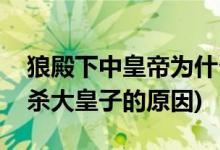 狼殿下中皇帝為什么殺大皇子(狼殿下中皇帝殺大皇子的原因)