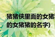 豬豬俠里面的女豬豬叫什么名字(豬豬俠里面的女豬豬的名字)