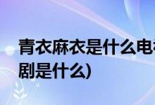 青衣麻衣是什么電視劇(出現(xiàn)青衣麻衣的電視劇是什么)