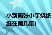 小別離張小宇燒紙是哪一集(小別離張小宇燒紙?jiān)诘趲准?