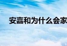 安嘉和為什么會(huì)家暴(安嘉和家暴的原因)