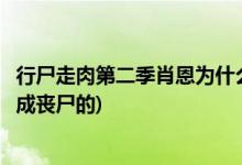 行尸走肉第二季肖恩為什么變成喪尸(形式走肉肖恩是怎么變成喪尸的)