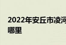 2022年安丘市凌河鎮(zhèn)大路村幼兒園的地址在哪里