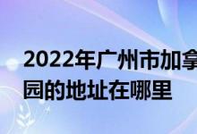 2022年廣州市加拿大國際（美林海岸）幼稚園的地址在哪里