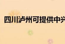 四川瀘州可提供中興手機維修服務(wù)地址在哪