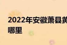 2022年安徽蕭縣黃口哆來(lái)咪貴族園的地址在哪里