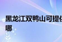 黑龍江雙鴨山可提供中興手機維修服務(wù)地址在哪