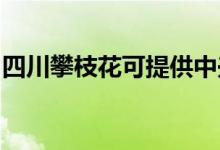 四川攀枝花可提供中興手機維修服務(wù)地址在哪