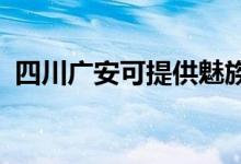 四川廣安可提供魅族手機維修服務(wù)地址在哪