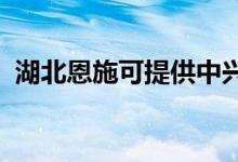 湖北恩施可提供中興手機維修服務(wù)地址在哪