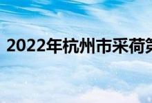 2022年杭州市采荷第二幼兒園的地址在哪里