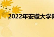 2022年安徽大學(xué)附屬學(xué)校的地址在哪里