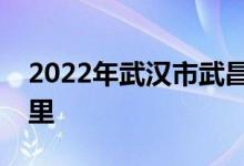 2022年武漢市武昌楚才實驗中學(xué)的地址在哪里