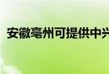 安徽亳州可提供中興手機(jī)維修服務(wù)地址在哪