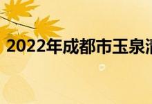 2022年成都市玉泉清波幼稚園的地址在哪里