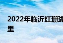 2022年臨沂紅珊瑚幼兒鋼琴學(xué)校的地址在哪里