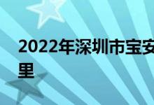 2022年深圳市寶安區(qū)新城幼兒園的地址在哪里