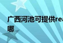 廣西河池可提供realme手機(jī)維修服務(wù)地址在哪