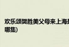 歡樂頌樊勝美父母來上海是第幾集(樊勝美父母上海投靠她是哪集)