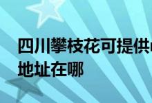 四川攀枝花可提供realme平板電視維修服務地址在哪