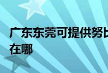 廣東東莞可提供努比亞平板電視維修服務(wù)地址在哪