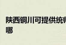 陜西銅川可提供統(tǒng)帥平板電視維修服務地址在哪