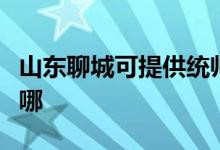 山東聊城可提供統(tǒng)帥平板電視維修服務地址在哪