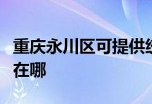 重慶永川區(qū)可提供統(tǒng)帥平板電視維修服務(wù)地址在哪