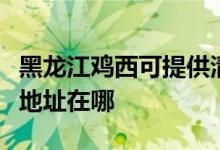 黑龍江雞西可提供清華同方平板電視維修服務(wù)地址在哪