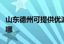 山東德州可提供優(yōu)派平板電視維修服務(wù)地址在哪