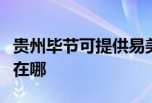 貴州畢節(jié)可提供易美遜平板電視維修服務地址在哪